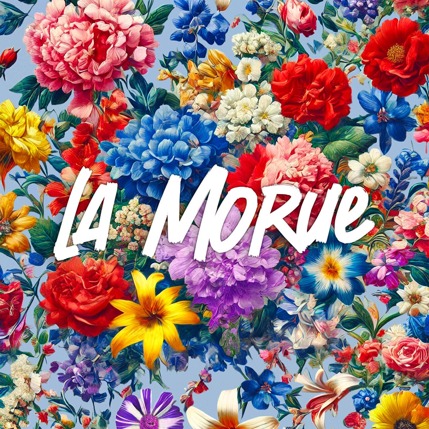LOGO_LA-MORUE-VF