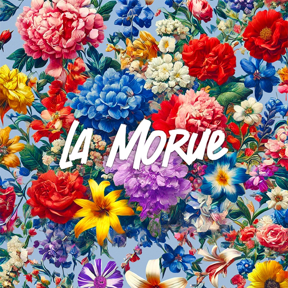projet-cc-design-la-morue